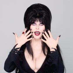 Elvira | Celeb Masta 49