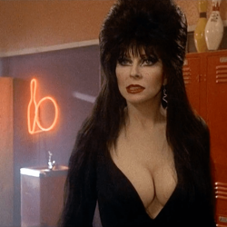 Elvira | Celeb Masta 47
